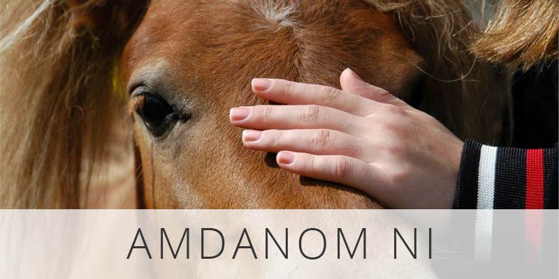 Button-Amdanom